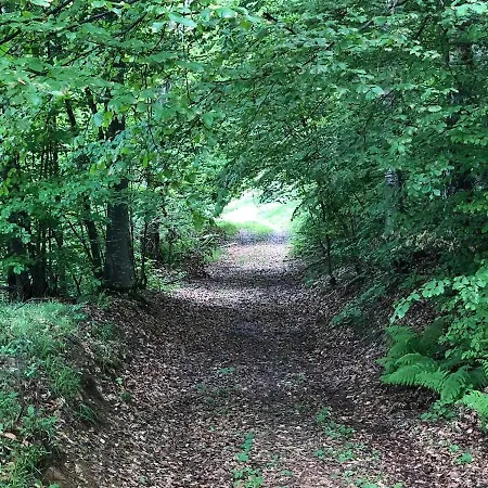 Brvnara Vršac Vrsac