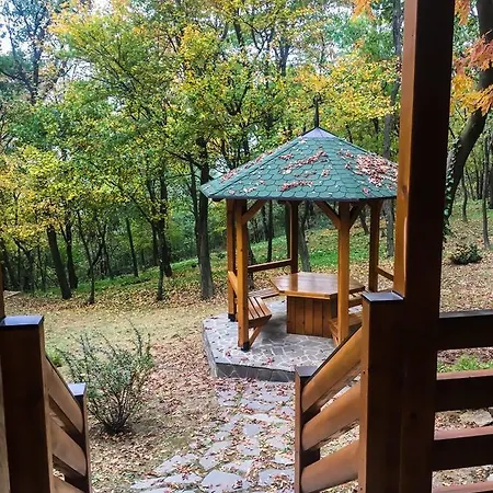 Brvnara Orman Evi Vrsac