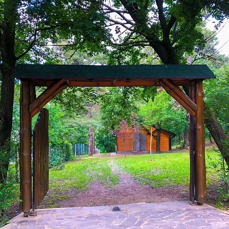 Brvnara Orman Evi *