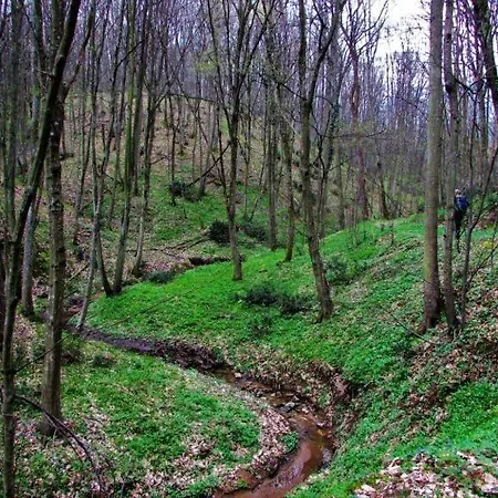 Brvnara Vršac Lodge Vrsac