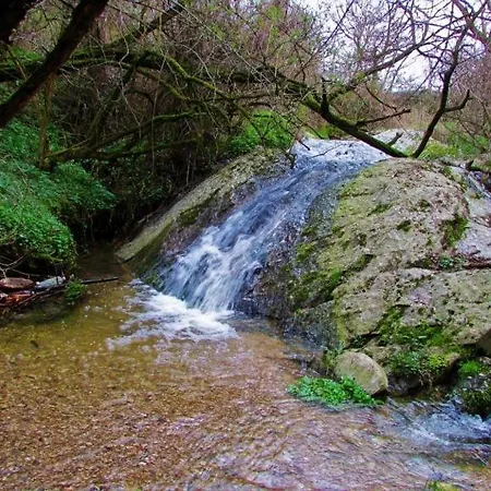 Orman Evi Brvnara