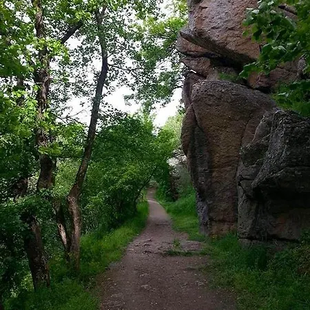 Brvnara * Vrsac